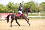 SBM_000771