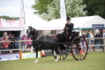 SBM_05798