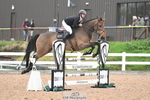 SAT Cls 14 Blue Chip Joint Care Power Champ Quali portfolio