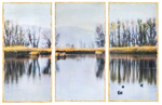 Colusa Wildlife Refuge