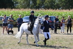 WJ6_8000