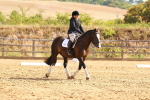 SBM_000491