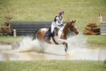 BVHT 140517  IXC -715