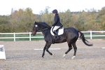 SBM_003333