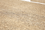 SBM_005440