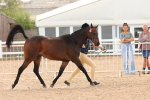 SBM_10210