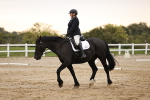 SBM_000435
