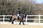 3E7A2669