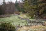 Tweed Valley-273