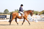 SBM_01586