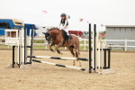 SBM_007528
