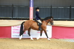 SBM_17690