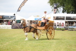 SBM_06987