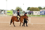 SBM_16475