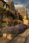 Broadway Cottage