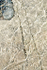 CORNERSTONE - GEORGIAN BAY