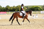 SBM_008299