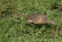 20110425-IMG_5039