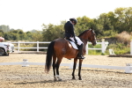 SBM_002435