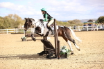 SBM_002545