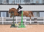 BPP_4193