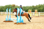 SBM_000708