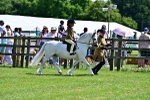 SBM_05769