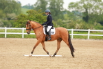 SBM_005313