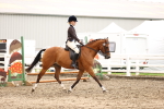 SBM_00538