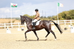SBM_004222