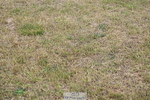 250830A-133638-06221