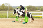 SBM_004253