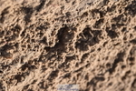 231015A-112410-07446