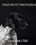 equiscot1700