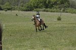 BVHT 140517  IXC -547