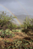 Double rainbow