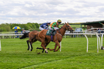 110526-Race 4-Irish Dancer-0862