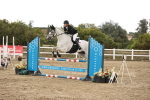 SBM_008695