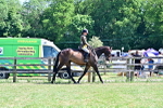 SBM_18252