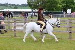 SBM_08549