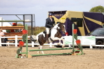 SBM_02795