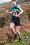 Stybarrow Dodd-701