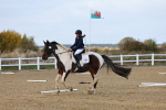 SBM_002238