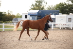 SBM_07068