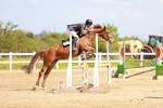 SBM_001714