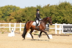 SBM_017691