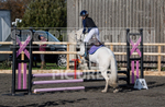 Junior Showjumping_10-11-2019-52
