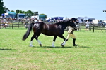 SBM_03904
