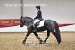 BPP_8147