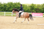 SBM_006460